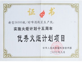 优秀火炬计划项目证书