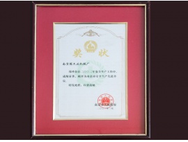 南京市2002年安全生產(chǎn)先進單位